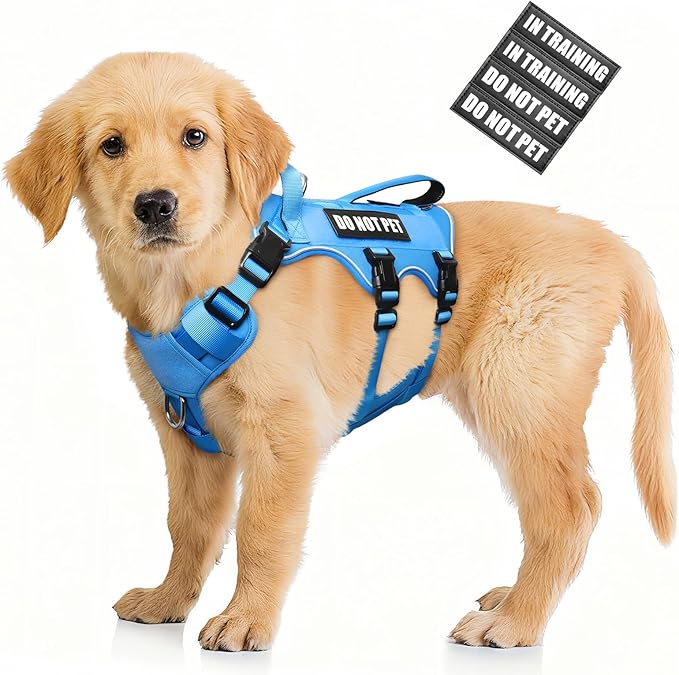 WINSEE Escape Proof Dog Harness, Service Working Molle Harness with Double Handle, Tactical Pet Vest with 4 Patches for Small Medium Large Dogs Walking Hiking Hunting