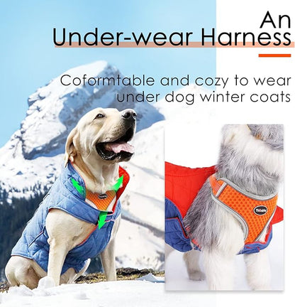 ThinkPet Reflective Breathable Soft Air Mesh No Pull Puppy Choke Free Over Head Vest Harness for Puppy Small Medium Dogs and Cats Orange Large