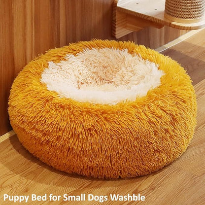 Calming Donut Dogs Beds for Small Dogs Washable,19inch Fluffy Round Puppy Bed for Puppies,Cats & Toy Breeds with Raised Rim,Fits up to 15 lbs Pets,Orange
