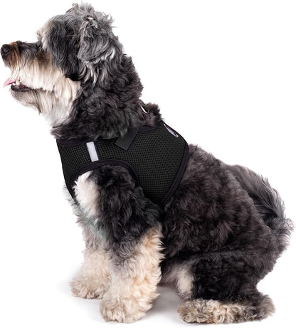 THE WORTHY DOG Step-in Dog Harness for Small Dogs, Comfortable Mesh, Reflective, Strong Hook and Loop Closure, Quick Release Buckle, Black, Small