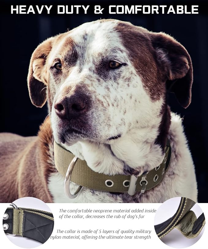 Large Dog Collar Heavy Duty- 2 inches Wide Tactical Dog Collar with Handle for Gaint Dogs, Extra Strong Nylon with Stainless Hardware, Military Green 19-23.5 in