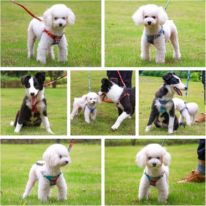 CHEDE No Pull Puppy Harness and Multifunction Dog Leash Set- 8 Colors Soft Adjustable No Choke Escape Proof Cute,Lightweight Pet Vest Harness for Small and Medium Dog (XS, Blue Grid)