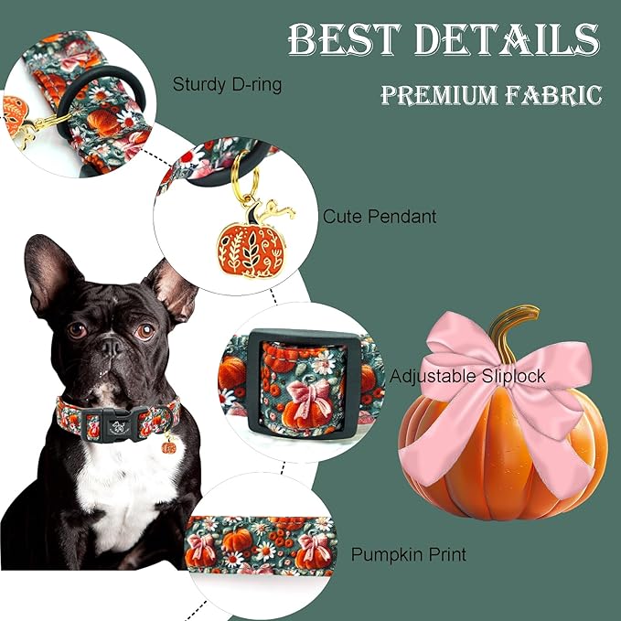 Elegant little tail Halloween Dog Collar, Pumpkin with Flower Print Fall Pet Collars Cotton Soft Sturdy Puppy Collars Holiday Female Adjustable Collar for X-Small Puppy