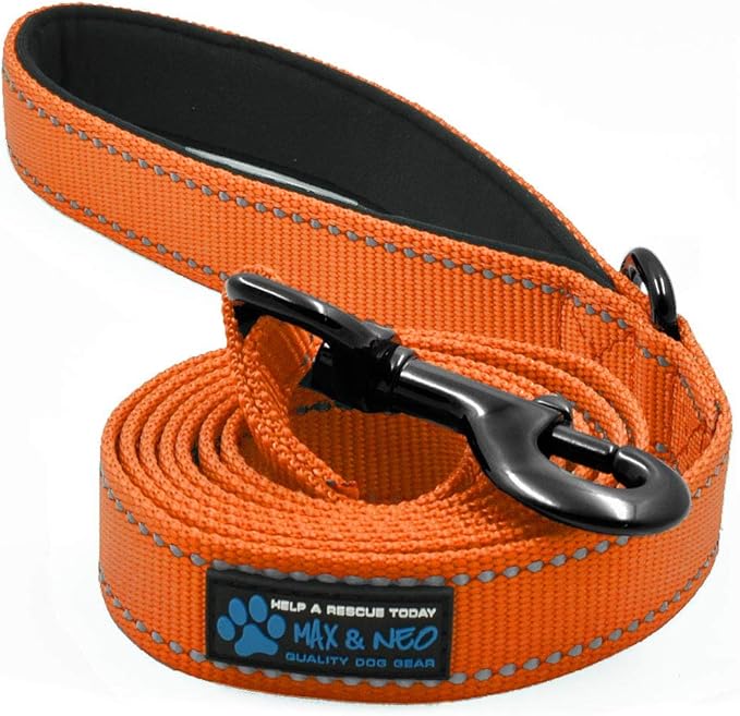 Max and Neo Reflective Nylon Dog Leash - We Donate One for Every One Sold (Orange, 4ft)