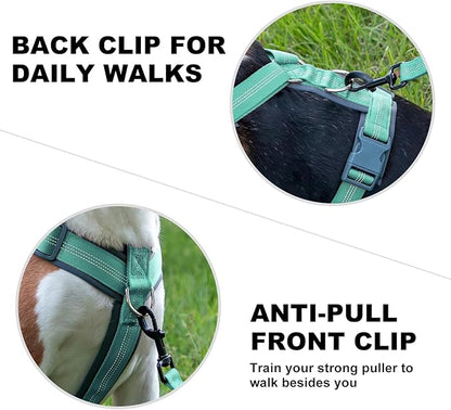 Plutus Pet No Pull Dog Harness, Adjustable Nylon Harness with Soft Padding, Reflective and Heavy Duty Dog Harness for Small, Medium, Large Dogs(Teal, M)
