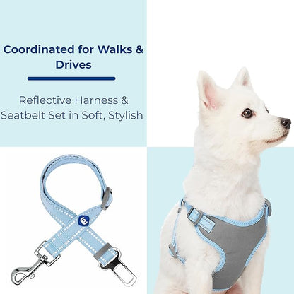 Blueberry Pet Pastel Colored Reflective Dog Harness with Seatbelt Clip – Adjustable No-Pull Pet Vest for Walking and Car Safety, Small Size in Baby Blue