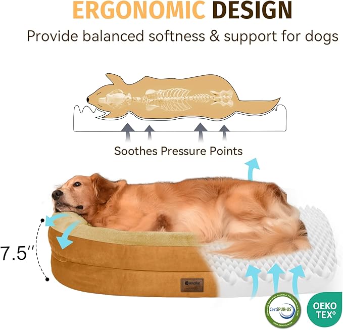 Orthopedic Waterproof Large Dog Bed: Memory Foam Washable Dog Bed with Bolsters - XXL Orthopedic Removable Cover for Medium Large Sized Pet - Non-Slip Bottom - Orange