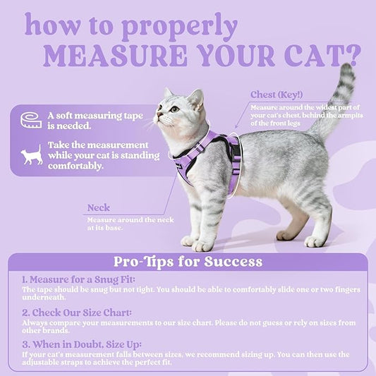 rabbitgoo Cat Harness and Leash for Walking, Escape Proof Soft Adjustable Vest Harnesses for Cats, Easy Control Breathable Reflective Strips Jacket, Light Purple, M