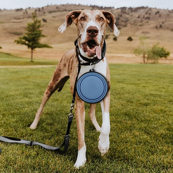 Paercute Collapsible Dog Bowl, Lightweight and Portable, Ideal for Outdoor, Camping, Hiking, Suitable for Dogs