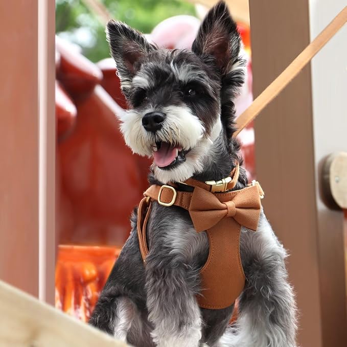 Beirui Adorable Small Dog Harness Collar and Leash Set,Cute Puppy Harness Set with 3 Bows for Small Dogs,Shih Tzu,Dachshund,Adjustable Step-in Vest for Daily Walking,Parties&Holiday Outfits(Brown,S)