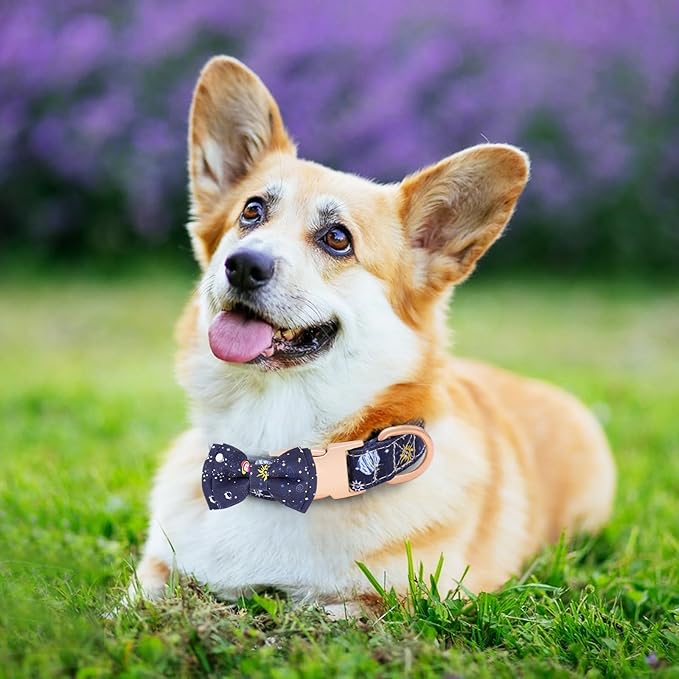 Dog Collar and Leash Set Adjustable Girls Puppy Floral Collars with Bow Tie for Small Medium Large Dogs(S, Blue Planet)