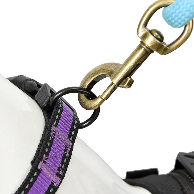 Mile High Life Dog Collar | Nylon Reflective Dog Collars | Light Weight Puppy Collars | Purple Dog Collars for Medium Dogs (Purple, Medium)