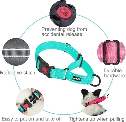 haapaw 2 Packs Martingale Dog Collar with Quick Release Buckle Reflective Dog Training Collars for Small Medium Large Dogs (Large, Turquoise/Turquoise)