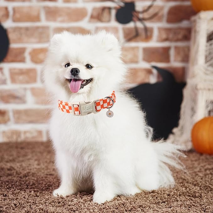 UP URARA PUP Gingham Fall Dog Collar – Adjustable Orange Picnic Checkered Dog Collar with Daisy Pendant, Classic Autumn Dogs Collars for Girl Boy Dogs