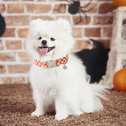 UP URARA PUP Gingham Fall Dog Collar – Adjustable Orange Picnic Checkered Dog Collar with Daisy Pendant, Classic Autumn Dogs Collars for Girl Boy Dogs