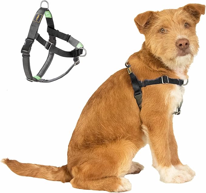 Freedom No Pull Dog Harness, Easy Walker, Stop Pulling with Two Stainless D-Rings, Comfortable, Sewn-in Instructions Tags for Easy Use, for Small Dogs Weight 20-30 lbs (Black, Small)