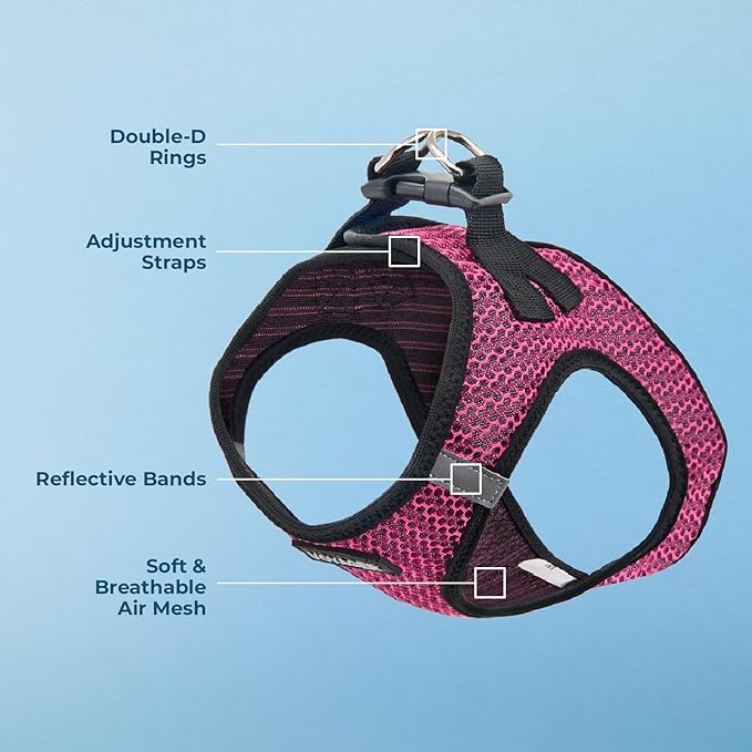 Best Pet Supplies Voyager Step-in Air Harness - All Weather Mesh, Reflective, No Pull Harness for Dogs, Cats - Secure with Hook & Loop Fastener, Buckle, Double D-Rings - Fuchsia 2-Tone, L