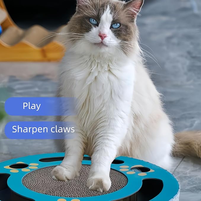 Jollytail Interactive cat Toys for Indoor Cats Scratch pad with 2 Bell Balls and Kitten Tunnel and Scratching Board 11.81 Inch Round