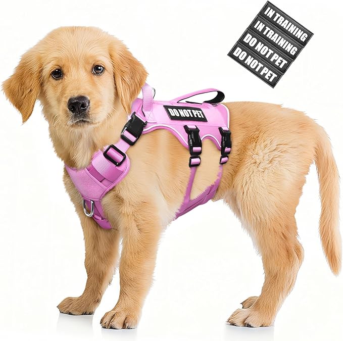 WINSEE Escape Proof Dog Harness, Service Working Molle Harness with Double Handle, Tactical Pet Vest with 4 Patches for Small Medium Large Dogs Walking Hiking Hunting