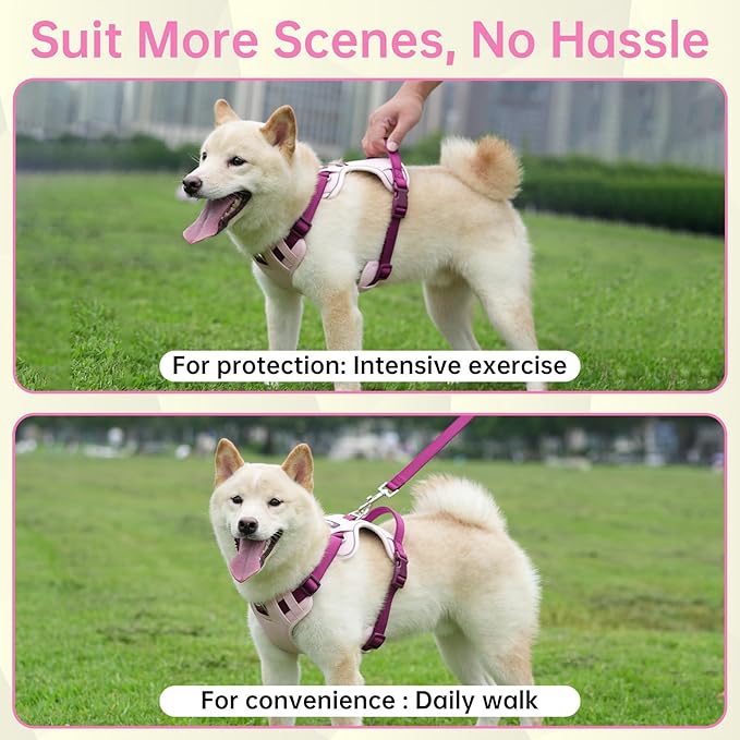 No Pull Dog Harness Leash and Collar Set, Soft Adjustable Dogs Vest Reflective and Comfortable Handle Pink Small