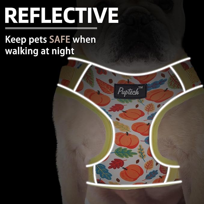 PUPTECK Thanksgiving Fall Small Dog Harness and Leash Set, No Pull Adjustable Puppy Cat Harness, Reflective Soft Mesh Pet Vest Small Sized, Leaves, M
