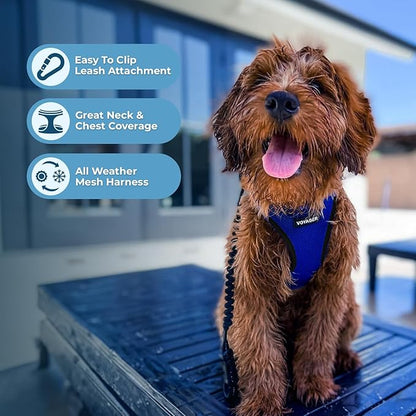 Best Pet Supplies Voyager Step-in Air Harness - All Weather Mesh, Reflective, No Pull Harness for Dogs, Cats - Secure with Hook & Loop Fastener, Buckle, Double D-Rings - Royal Blue/Black Trim, XXXS