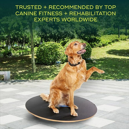 FitPaws Wobble Board - Dog Balance Training Equipment for Core Strength & Stability Canine Fitness & Rehabilitation Tool