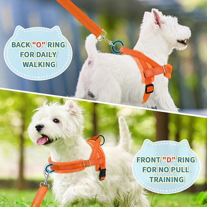 Lukovee No Pull Dog Harness and Leash Set, Soft Padded Small Dog Harness, Neck & Chest Adjustable Reflective Vest Puppy Harness with 4ft Lightweight Anti-Twist Dog Leash for Small Dogs (Orange, XS)