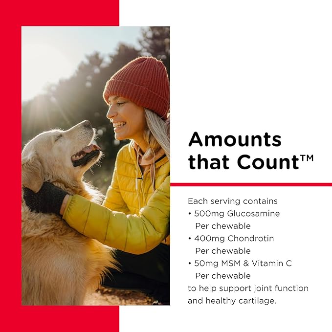 Nutri-Vet Hip & Joint Advanced Strength Dog Joint Supplement, Dog Glucosamine, Pet Supplements, Formulated with Glucosamine Chondroitin and MSM, Pet Supplies, Puppy Essentials, 90 Count