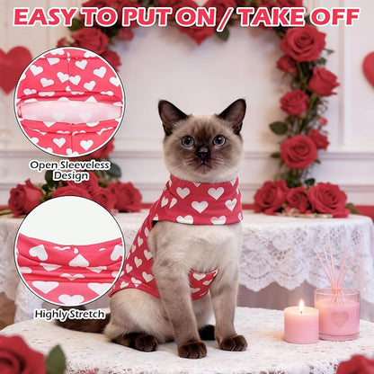 EXPAWLORER Soft Cat Sweater - Sweaters for Cats Only Warm Kitten Clothes, Fall and Winter Pet Coat Pullover Design, Fleece Sweatshirt Clothing Also for Puppy Small Dogs, Pink Heart M