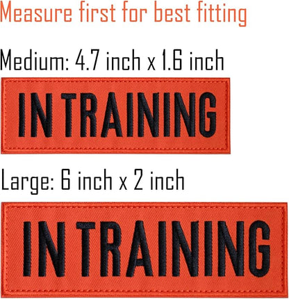 FITZNORA Embroidered in Training Patches, 2 Pack Clear Sign with Hook and Loop Pieces, Easy to Read Tabs for Dog Vest Harness Collar, 6 x 2 inches