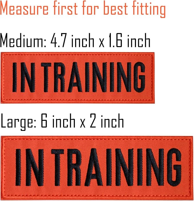 FITZNORA Embroidered in Training Patches, 2 Pack Clear Sign with Hook and Loop Pieces, Easy to Read Tabs for Dog Vest Harness Collar, 4.7 x 1.5 inches