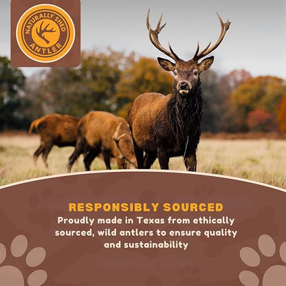 WhiteTail Naturals Antlers for Dogs (6 Pack) Deer Antler Dog Chew Bones for Small Aggressive Chewers - Long Lasting Whole Antlers - Hand Trimmed & Naturally Shed