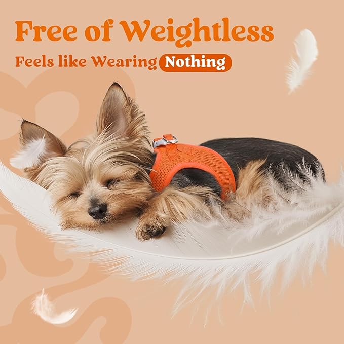 rabbitgoo Small Dog Harness, Step-in Soft Mesh Puppy Vest with Safety Buckle, Breathable Reflective Pet Harness for Small Sized Dogs, Orange S