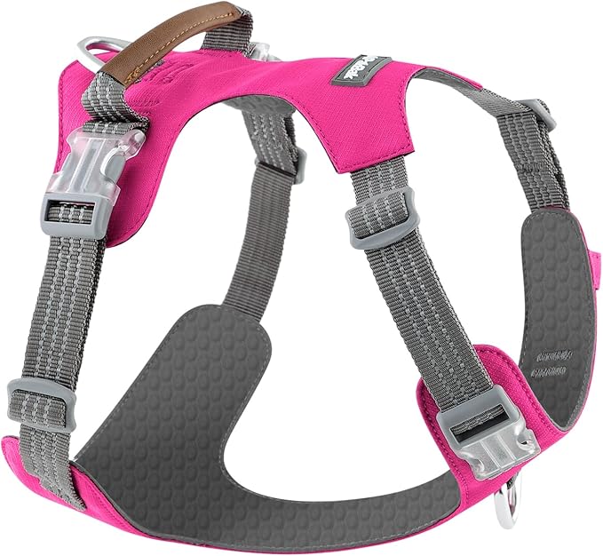 ApakBak No Pull Dog Harness – Adjustable Reflective Nylon Vest for Small Medium Large Dogs, Escape Proof Training Harness with Leather Control Handle, Lightweight Aluminum Hardware (Hot Pink, M)