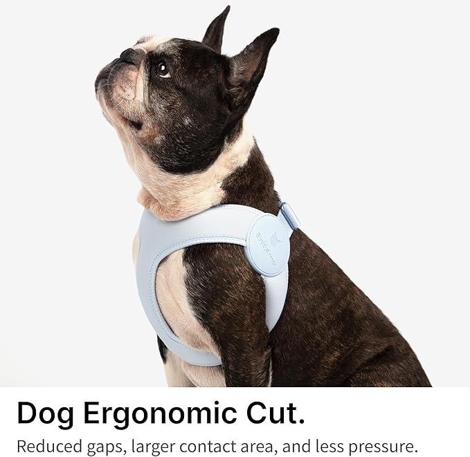Ultra Comfortable Dog Harness Adjustable Soft Dog Vest, Alloy Buckle Closure Lightweight Stretchy Puppy Harness Step in for Small Sized Dogs Walking Training (Sierra Blue, XS)