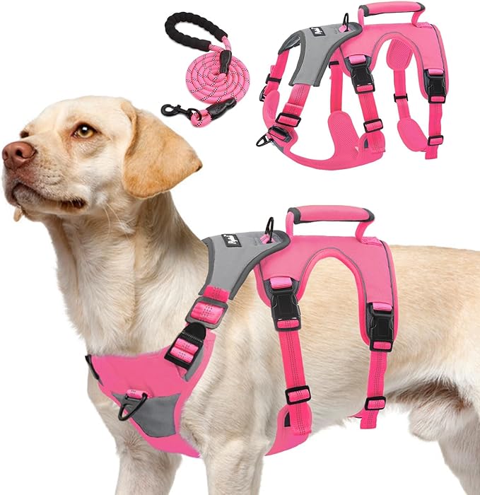 PUPTECK Escape Proof Dog Harness and Leash Set Upgraded No Pull Reflective Dog Vest with Lift Handle, Easy Control Pet Harness for Medium Large Dogs Training Walking Running, Fuchsia, M
