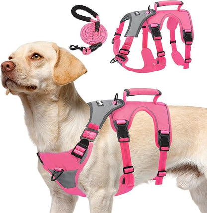 PUPTECK Escape Proof Dog Harness and Leash Set Upgraded No Pull Reflective Dog Vest with Lift Handle, Easy Control Pet Harness for Medium Large Dogs Training Walking Running, Fuchsia, M