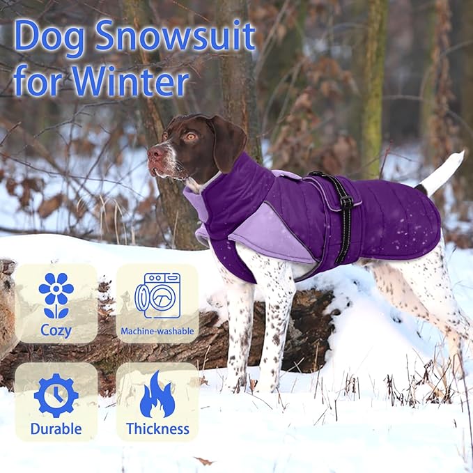 MIGOHI Waterproof Dog Winter Coat - Thick Dog Fleece Jacket with Reflective Strips, Warm Winter Snowsuit Sweater for Small Dogs,Machine Washable,French Bulldog,M,Purple