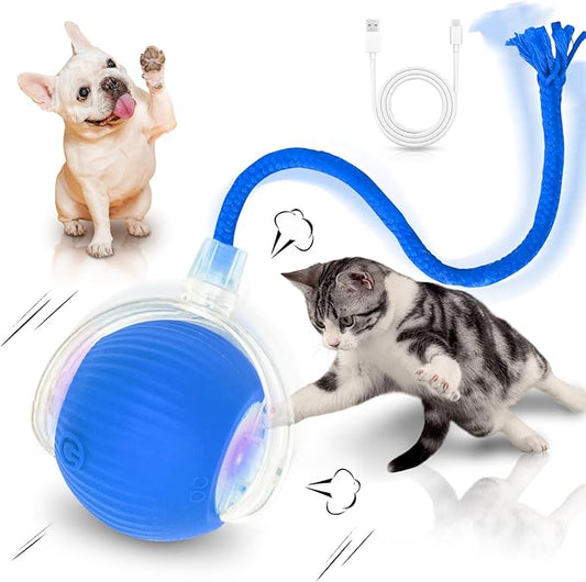 MAXTOOA Interactive Cat Toys for Indoor Cats Smart Automatic Ball Rolling for Bored Kitten Pet Upgraded Speedy Moving Chase Dogs Toy Blue