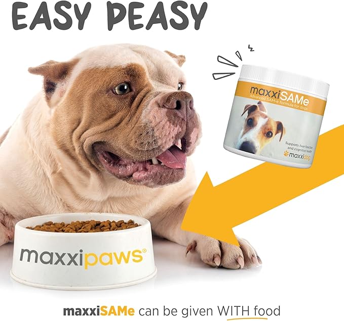 maxxipaws maxxiSAMe Advanced SAM-e Powder Supplement - Liver, Cognitive & Joint Support for Dogs, 5.3oz