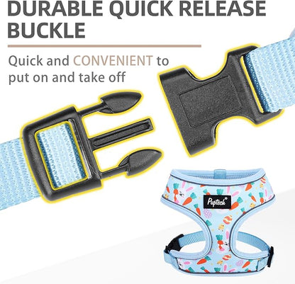 PUPTECK Soft Mesh Dog Harness and Leash Set Pet Puppy Cat Comfort Padded Vest No Pull Harnesses, Easter Blue, M