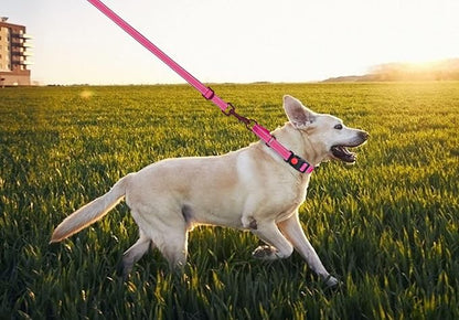 Martingale Dog Collar and Leash Set Martingale Collars for Dogs Reflective Martingale Collar for Small Medium Large Dogs(Hot Pink&S)