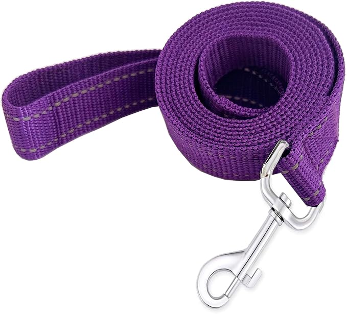 Reflective Dog Leash 4Ft /5 Foot /6 Feet Long, 1 Inch Wide, for Small and Medium Dogs