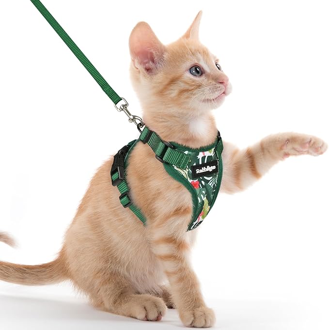 rabbitgoo Cat Harness and Leash for Walking, Escape Proof Soft Adjustable Vest Harnesses for Cats, Easy Control Breathable Reflective Strips Jacket,Rainforest Green,XXS