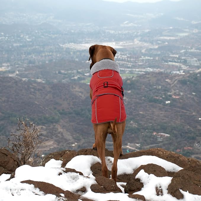 Lelepet Warm Dog Coat Waterproof Dog Jacket Reflective Fleece Vest with Adjustable Buckle Hook & Loop, Windproof Winter Jacket Dogs Coats for Small Medium Large Dogs, Red, M
