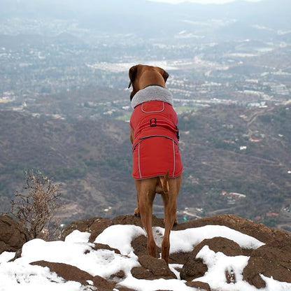 Lelepet Warm Dog Coat Waterproof Dog Jacket Reflective Fleece Vest with Adjustable Buckle Hook & Loop, Windproof Winter Jacket Dogs Coats for Small Medium Large Dogs, Red, M