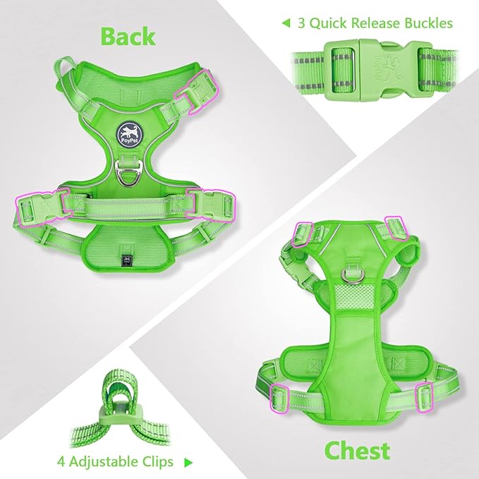 PoyPet No Pull Dog Harness, No Choke Reflective Dog Vest, Adjustable Pet Harnesses with 2 Leash Attachments with Easy Control Padded Handle for Small Medium Large Dogs(Green Matching Trim,S)