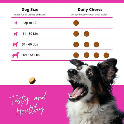 Hip & Joint Supplement for Dogs – Glucosamine, Chondroitin, MSM, Turmeric & Hemp Oil – Natural Mobility & Pain Relief Soft Chews – Beef Flavor – 90 Count – Made in USA
