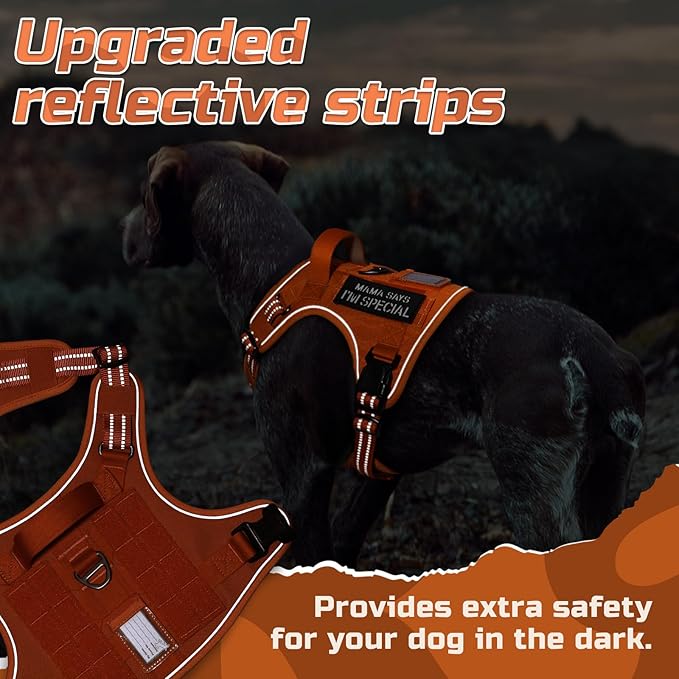 rabbitgoo Tactical Dog Harness for Large Dogs, No Pull Military Service Vest with Handle & Molle, Easy Control for Training Walking, Adjustable Reflective Straps, Orange, L